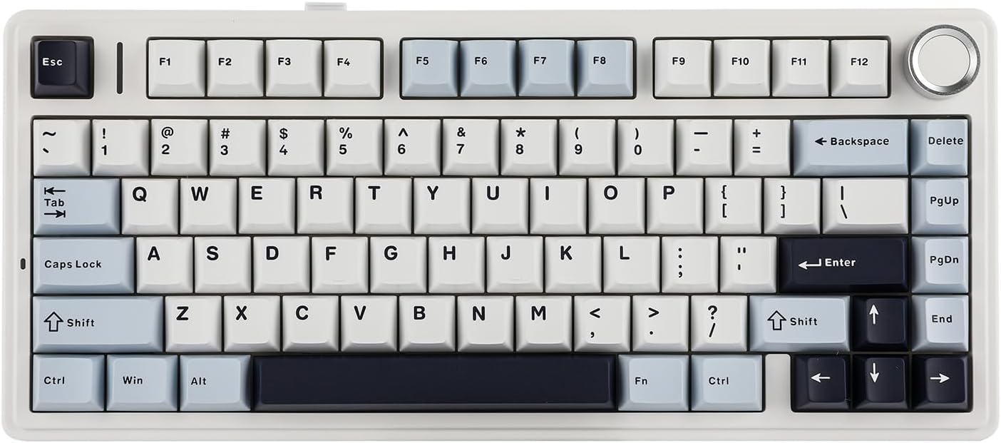 EPOMAKER x Aula F75 Gasket Mechanical Keyboard, 75% Wireless Hot Swappable Gaming Keyboard with Five-Layer Padding&amp;Knob, BT\/2.4GHz\/USB-C, RGB (Light Blue, LEOBOG Reaper Switch)